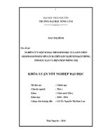 Nghiên Cứu Một Số Đặc Điểm Sinh Học Của Giun Tròn Oesophagostomum  Spp. Gây Ra Trên Lợn Tại Huyện Bạch Thông, Tỉnh Bắc Kạn Và Biện Pháp Phòng Trị