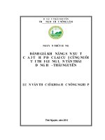 Đánh Giá Khả Năng Sản Xuất Của 3 Tổ Hợp Đực Lai Cuối Cùng Nuôi Tại Trại Giống Lợn Tân Thái Đồng Hỷ - Thái Nguyên