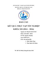 Báo cáo thực tập tốt nghiệp tại trường mầm non hạnh thông tây