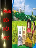 BÀI 11: PHÂN BÓN HÓA HỌC