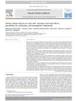 Climate change impacts on coral reefs: Synergies with local effects, possibilities for acclimation, and management implications