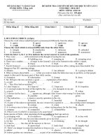 Đề kiểm tra Chuyên đề Hè Tiếng Anh cho đội tuyển lớp 10 - Lần 1 2016-2017