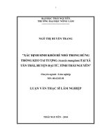 Xác Định Sinh Khối Rễ Nhỏ Trong Rừng Trồng Keo Tai Tượng (Acacia Mangium) Tại Xã Tân Thái, Huyện Đại Từ, Tỉnh Thái Nguyên