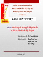 ĐỀ TÀI:  Ảnh hưởng của các nguyên tố hợp kim đến tổ chức và tính chất của thép Hadfield