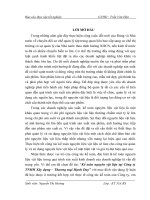 Luận văn tốt nghiệp chuyên nghành kế toán NVL dành cho sinh vien kinh tế