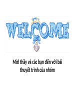 Bài thuyết trình phân tích hoạt động marketing của co op mart