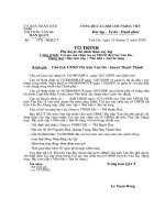 to trinh phe duyet chi dinh thau 