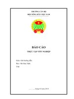 Báo cáo tốt nghiệp ngành công tác xã hội