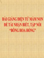 Bài giảng điện tử mầm non Lớp nhà trẻ đề tài Nhận biết, tập nói “Bông hoa hồng”