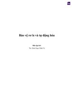 Bảo vệ rơ le và tự động hóa 