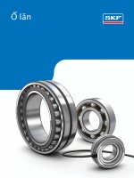 SKF rolling bearings catalogue