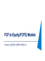 FCF to Equity(FCFE) Models