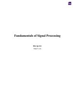 Fundamentals of signal processing 