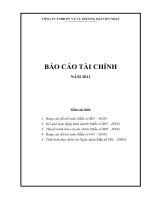 Mẫu Bìa Báo Cáo Tài Chính Doanh NGhiệp
