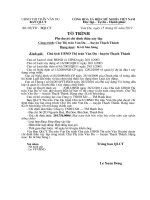 to trinh phe duyet chi dinh thau 