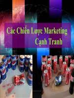 Bài giảng các chiến lược marketing cạnh tranh