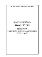 Giáo trình trồng cây quế   mđ02  trồng quế, hồi, sả lấy tinh dầu