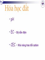 Bài giảng khoa học đất (ngành quản lý đất đai)   chương 6 (1)  hóa học đất
