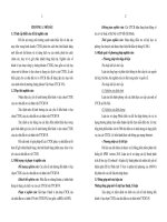 Các yếu tố ảnh hưởng đến hành vi lựa chọn công ty chứng khoán của nhà đầu tư cá nhân trên thị trường chứng khoán việt nam (TT)