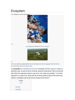 Introduction to Bio Ecosystem