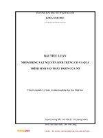 Nhóm động vật nguyên sinh trùng cỏ và quá trình sinh sản phát triển của nó 