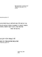 LUẬN văn THẠC sĩ GIẢI PHÁP hạn CHẾ rủi RO tín DỤNG tại NGÂN HÀNG NÔNG NGHIỆP và PHÁT TRIỂN NÔNG THÔN VIỆT NAM   CHI NHÁNH PHÚ mỹ HƯNG 