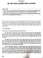 Ebook giải phẫu người (sách đào tạo cử nhân kỹ thuật y học)  phần 2