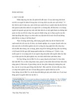 Luận văn thạc sĩ giải pháp hoàn thiện công tác quản trị nguồn nhân lực tại sở giao thông vận tải bến tre 
