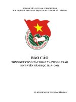 Mẫu báo cáo tổng kết công tác đoàn