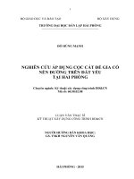 Nghiên cứu ứng dụng cọc cát để gia cố nền đường trên đất yếu tại hải phòng 