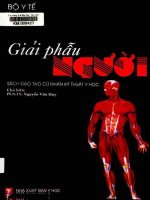 Ebook giải phẫu người (sách đào tạo cử nhân kỹ thuật y học)  phần 1