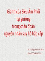 Giá trị của siêu âm phổi tại giường trong chẩn đoán nguyên nhân suy hô hấp cấp