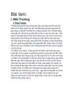 luận văn về môi trường và biến đổi khí hậu đang diễn ra trên toàn cầu