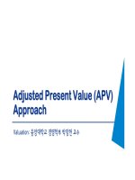Adjusted Present Value (APV) Approach Valuation