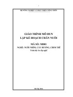 Giáo trình lập kế hoạch chăn nuôi   mđ01  nuôi nhím, cầy hương, chim trĩ
