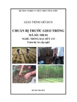 Giáo trình chuẩn bị trước gieo trồng   mđ01  trồng rau hữu cơ
