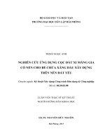 Nghiên cứu ứng dụng cọc đất xi măng gia cố nền cho bể chứa xăng dầu xây dựng trên nền đất yếu 