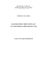 GIẢI PHÁP PHÁT TRIỂN NHÂN LỰC  CỦA BẢO HIỂM XÃ HỘI TỈNH HÀ NAM