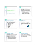 Levels of Organization in Living Things