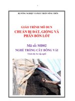 Giáo trình chuẩn bị đất, giống và phân bón lót   mđ02  trồng cây bông vải