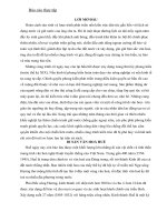 Báo cáo thực tập di sản văn hoá huế