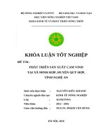 Phát triển sản xuất cam vinh tại xã minh hợp, huyện quỳ hợp, tỉnh nghệ an