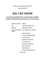 Tiểu luận kế hoạch kinh doanh marketing cho doanh nghiệp start up kinh doanh hải sản cô tô online 