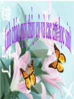 BÀI 40 THỰC HÀNH XEM PHIM VỀ SỰ SINH TRƯỞNG VÀ PHÁT TRIỂN Ở ĐỘNG VẬT