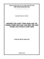Nghiên cứu hoạt tính sinh học và thành phần hóa học của một số loài thuộc chi ficus ở việt nam 