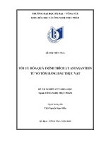 Tối ưu hóa quá trình trích ly astaxanthin từ vỏ tôm bằng dầu thực vật