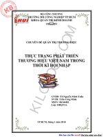 THỰC TRẠNG PHÁT TRIỂN THƯƠNG HIỆU VIỆT NAM TRONG THỜI KÌ HỘI NHẬP