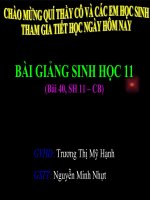 BÀI GIẢNG SINH HỌC 11 - BÀI 40 THỰC HÀNH XEM PHIM VỀ SỰ SINH TRƯỞNG VÀ PHÁT TRIỂN Ở ĐỘNG VẬT