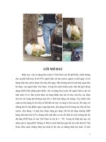 Nghiên cứu thực trạng và biện pháp hạn chế sử dụng túi nylon của người tiêu dùng