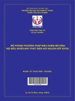 Mô phỏng phương pháp điều khiển mô hình nội điều khiển máy phát điện gió nguồn kép(DFIG)